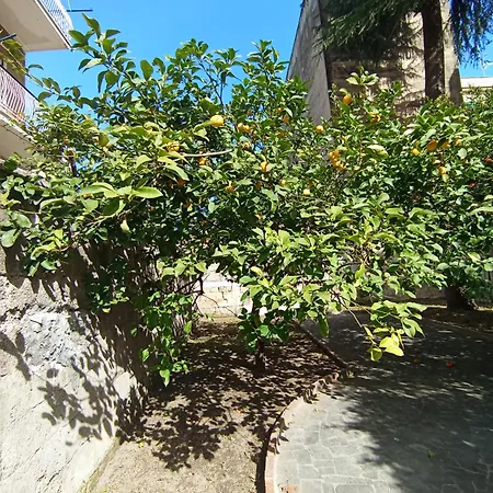 Casa Di Mirko 게스트하우스 나폴리